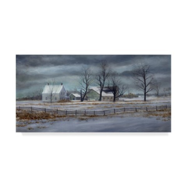 Trademark Fine Art John Morrow 'Winter Gray ' Canvas Art, 12x24 ALI21306-C1224GG